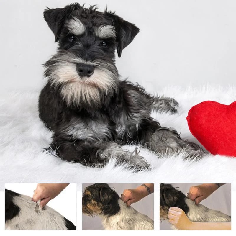 Pente removedor de pelos de animais