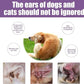 Limpador de orelhas para animais de estimação - Tratamento de infecções para cães e gatos